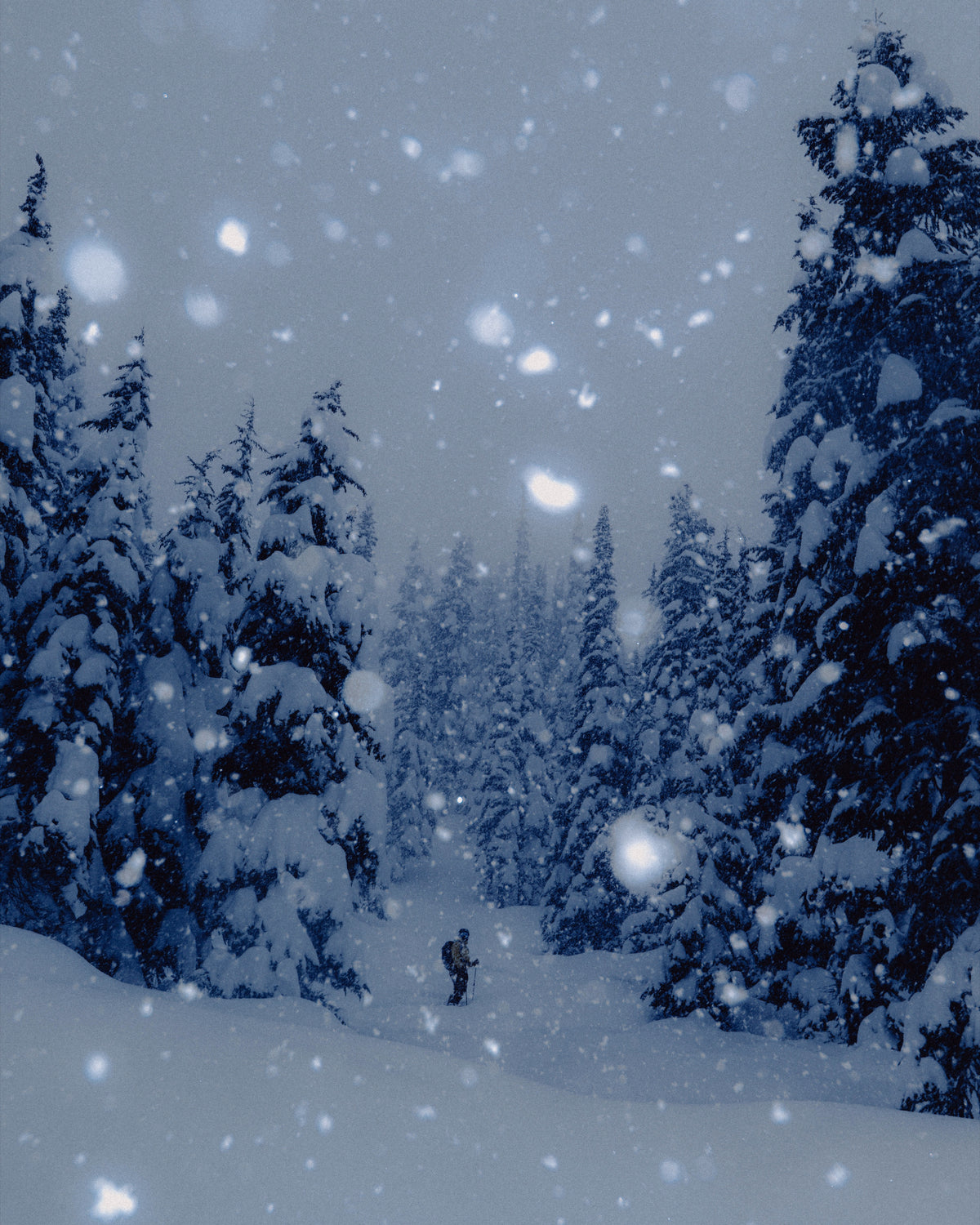 A lone skier on a trail between snow-laden trees in falling snow