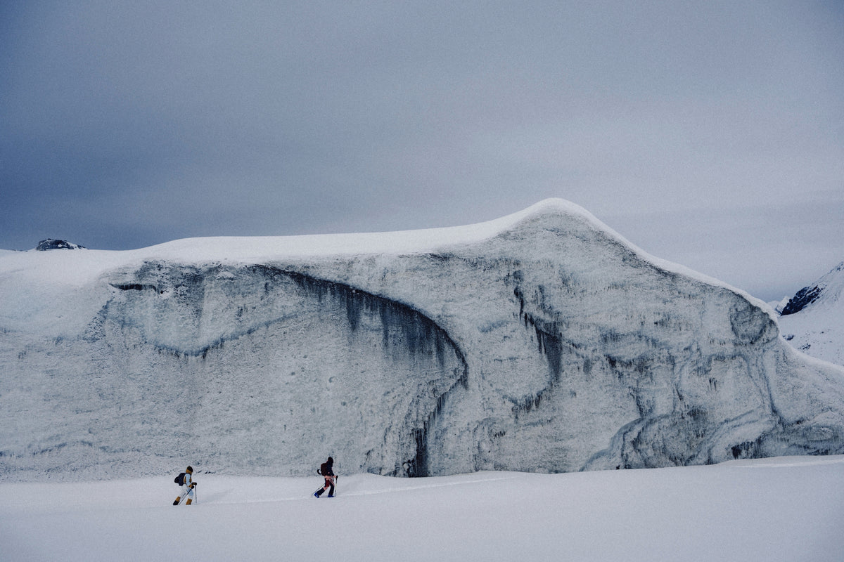 Arctic