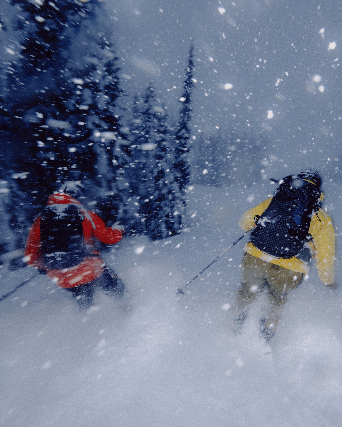 Two skiers in red and yellow jackets ski through falling snow towards a stand of trees