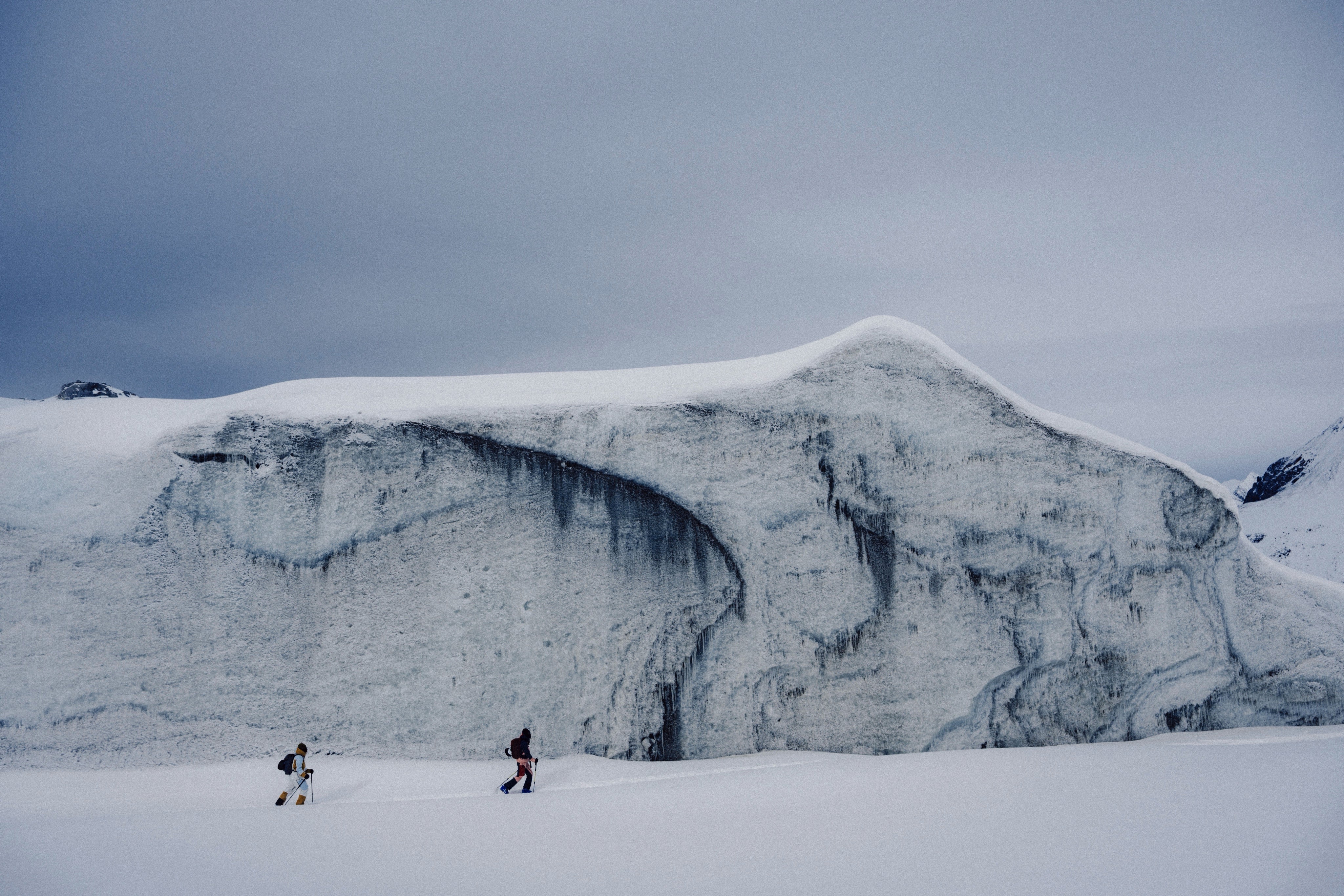 Arctic