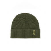 Vortex Beanie — Pine